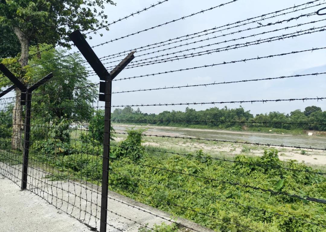 কাঁটাতার-কাঁটা!